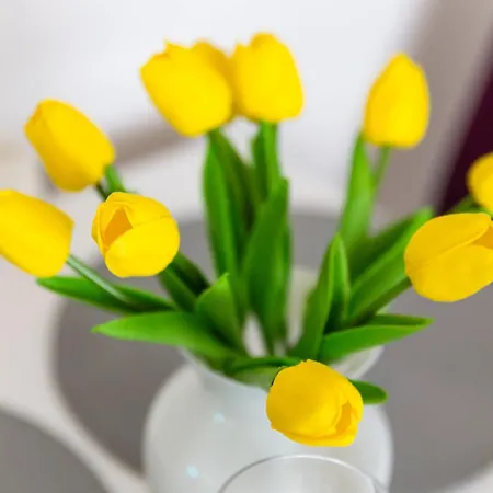 Apartment Ena Rijeka